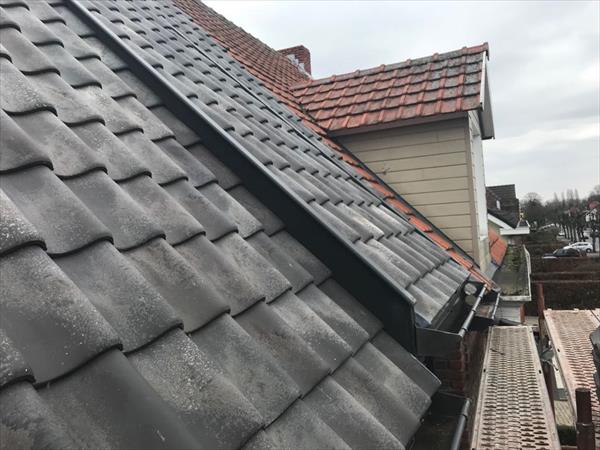 Nieuw en renovatie